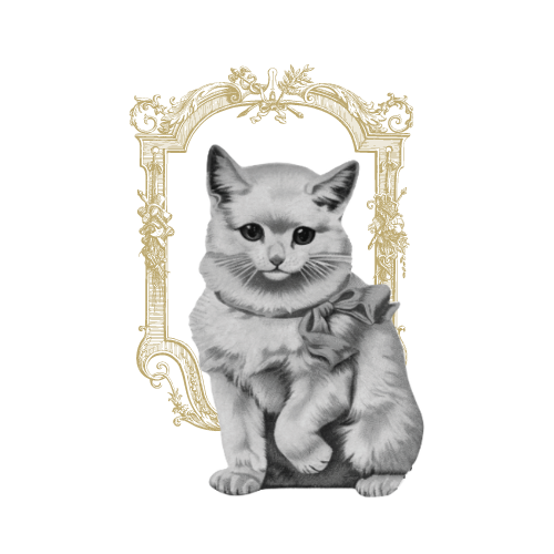 La gata breva