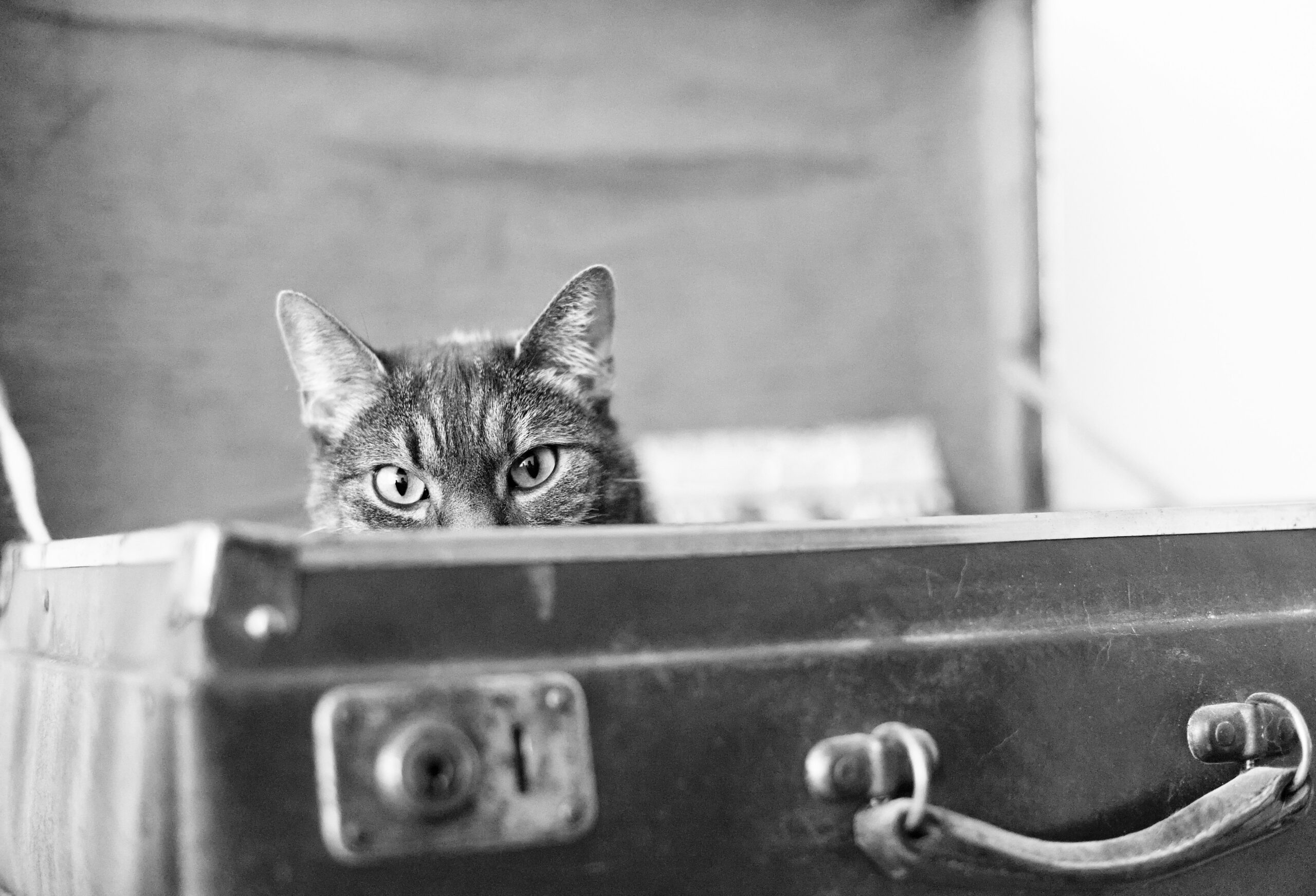 valerie-ungerer-Vf7XHD9odZQ-unsplash