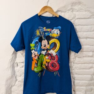 CAMISETA PARQUE DISNEY 2018