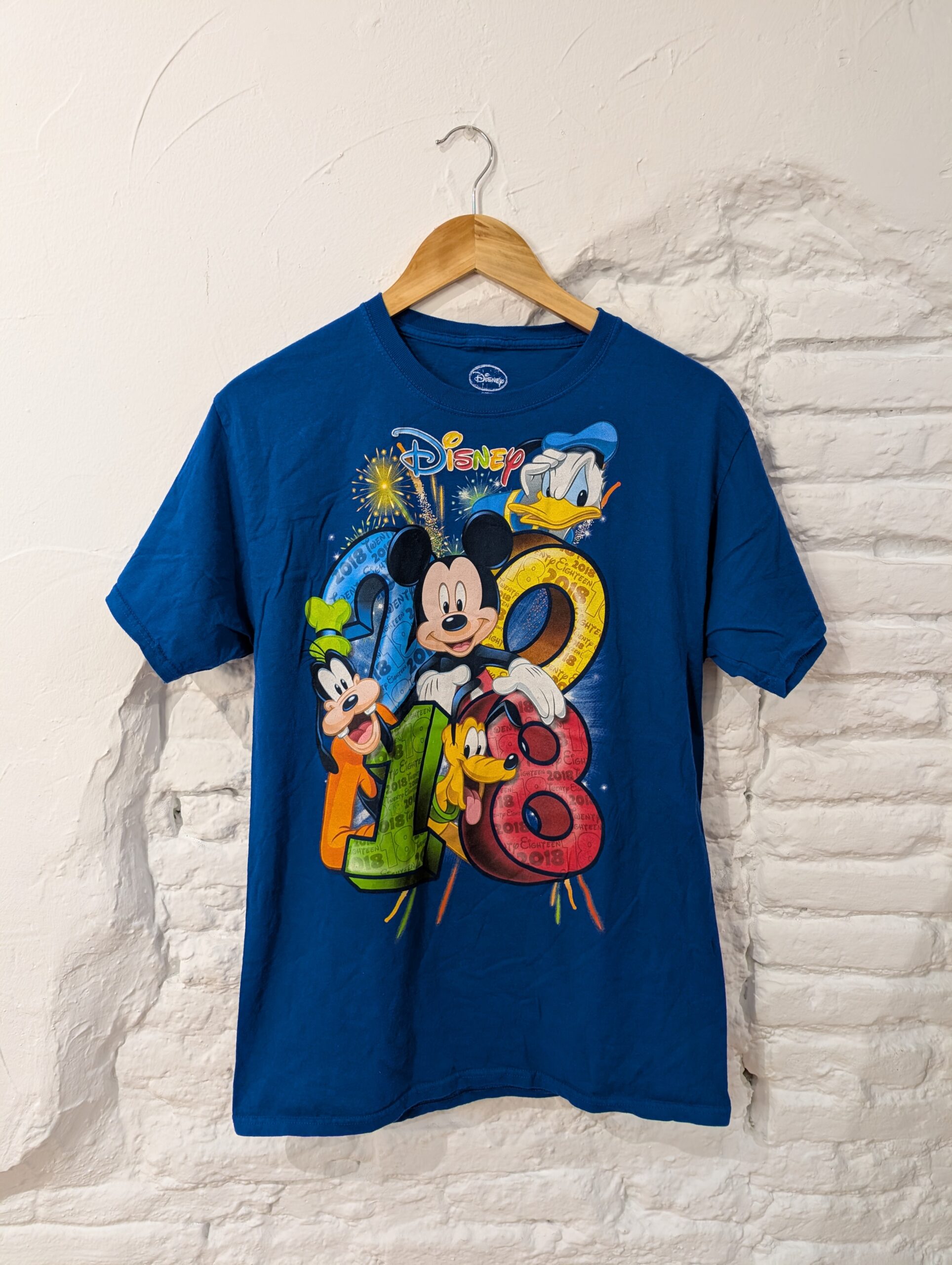 CAMISETA PARQUE DISNEY 2018