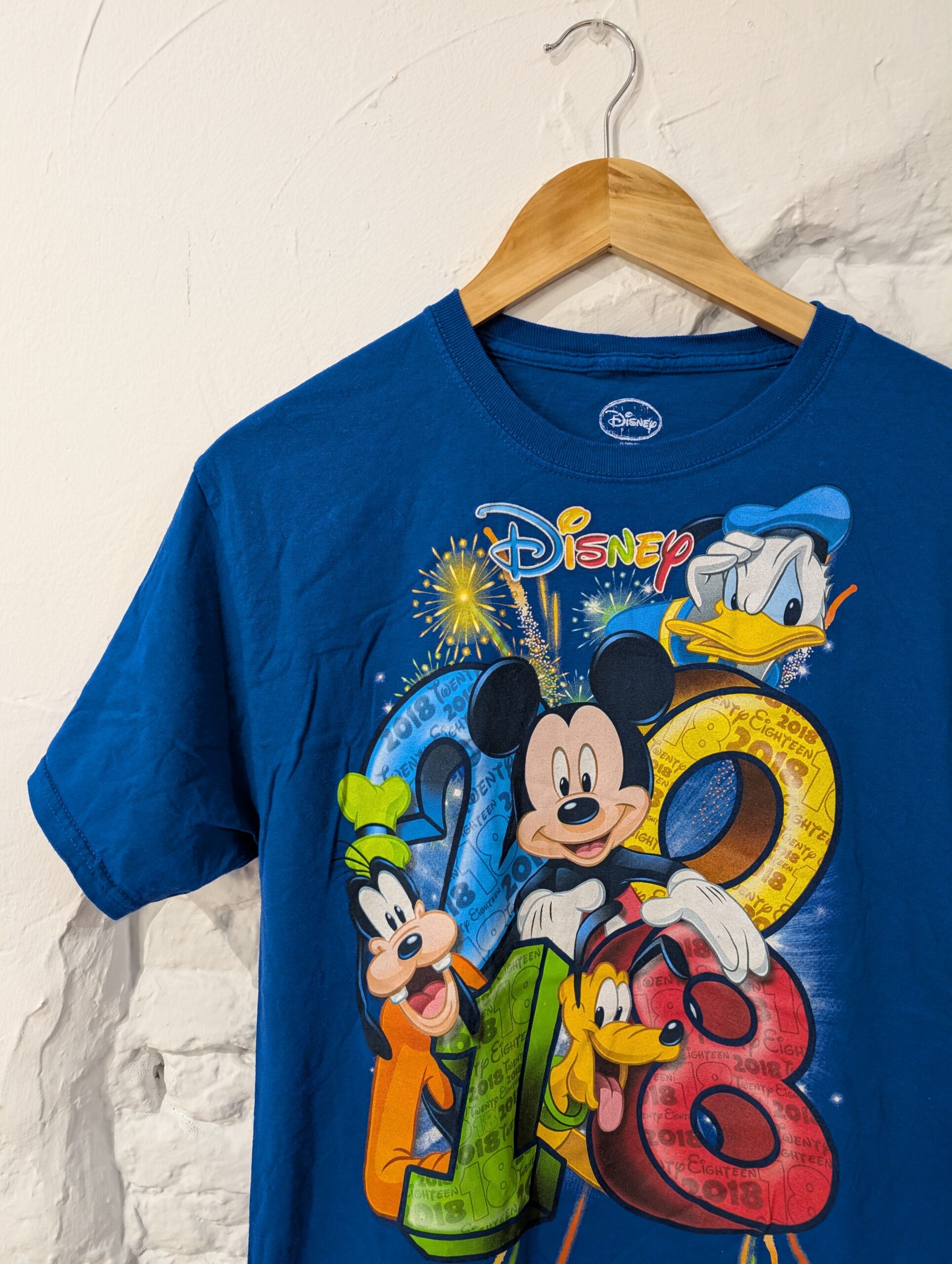 CAMISETA PARQUE DISNEY 2018 - Imagen 2